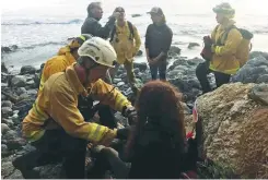  ??  ?? Hernandez is found at the bottom of a cliff in Monterey County on Friday.