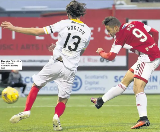  ??  ?? Five star Striker Alex D’acol blasts in Hamilton’s opening goal