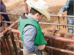  ?? (Special to The Commercial) ?? A cowboy prepares to compete in the 2020 UAM college rodeo.