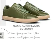  ??  ?? BRADLEY CACTUS TRAINERS, £121, clae.eu