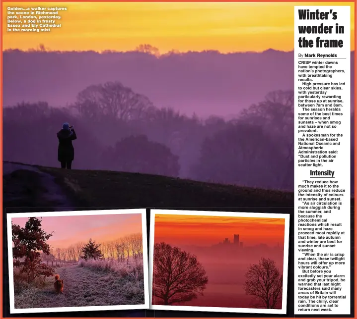  ?? Pictures: GEOFF ROBINSON, SUSANNAH JONES, LNP ?? Golden…a walker captures the scene in Richmond park, London, yesterday. Below, a dog in frosty Essex and Ely Cathedral in the morning mist