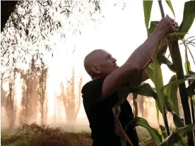  ?? Photograph: Mallika Vora ?? ‘We only knew working, and working in the fields was expected by our parents.’