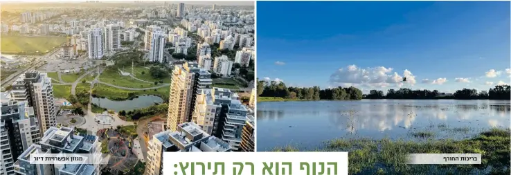  ?? ?? בריכות החורף
גוון אפשרויות דיור