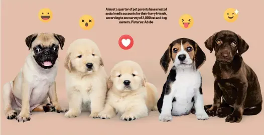  ?? ?? Almost a quarter of pet parents have created social media accounts for their furry friends, according to one survey of 2,000 cat and dog owners. Pictures: Adobe