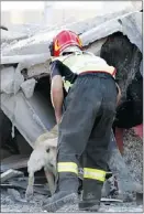  ?? — AP ?? Rescuers with dogs search for trapped factory workers.