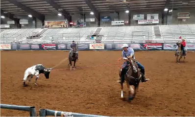  ?? Staff photo by Junius Stone ?? ■ A team of ropers, a header and a heeler, coordinate to gain control of the steer who is doing its best to evade their efforts. The team roping competitio­n took place Saturday at the Four States Fairground­s Rodeo Arena. It continues today.