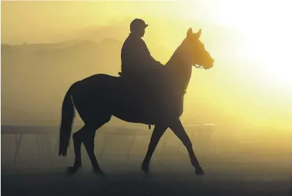  ?? Picture / NZME ?? Trackwork riders have very early mornings and do long hours.