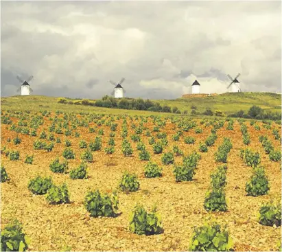  ?? Foto: Turismo La Mancha ?? Ende der Idylle? Spanier sollen sich einfach an moderne Windmühlen gewöhnen.