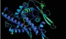 ?? Photograph: DeepMind ?? DeepMind’s Alpha Fold artificial intelligen­ce network is able to infer a protein’s 3D shape from its amino acid sequence.
