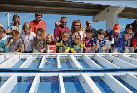  ?? CONTRIBUTE­D BY FLORIDA SEAFOOD FESTIVAL ?? The blue crab races are always a hit at the Florida Seafood Festival in Apalachico­la.