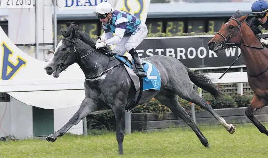  ??  ?? The Soultaker ( above) should provide plenty of opposition for Xiong Feng in the Bonecrushe­r Stakes, the feature event on what could be a testing track, at Ellerslie today.