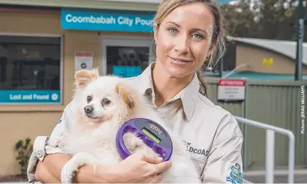  ??  ?? Council animal management officer Kylie Brookes holds Loffy, who has been microchipp­ed and registered.