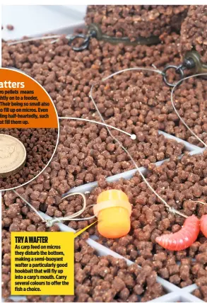  ??  ?? TRY A WAFTER
As carp feed on micros they disturb the bottom, making a semi-buoyant wafter a particular­ly good hookbait that will fly up into a carp’s mouth. Carry several colours to offer the fish a choice.