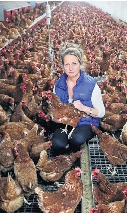  ??  ?? Free range farmers such as Sarah Slade must keep birds indoors