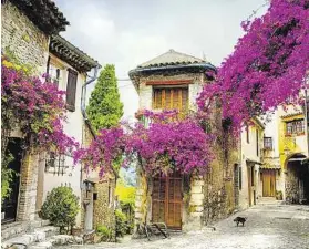  ?? ?? Farbenprac­ht in der romantisch­en Provence
KONSTIANTY­N
