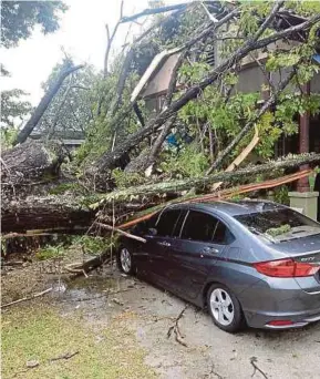  ?? [FOTO HIASAN] ?? Orang ramai diingatkan supaya tidak meletak kenderaan bawah pokok berikutan ramalan angin kencang.