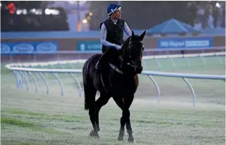  ?? PHOTO: GETTY IMAGES ?? A media throng has arrived to plot Winx’s attempt to equal Black Caviar’s 25-win streak.