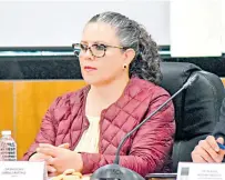  ?? / ?? La iniciativa fue propuesta por la diputada Miroslava Carrillo