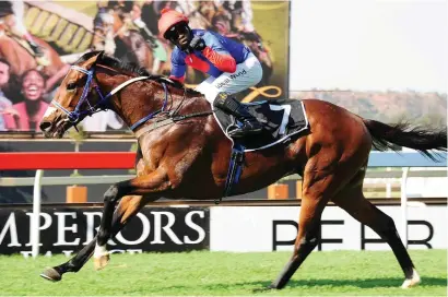  ??  ?? BIG REPUTATION. Big Bear came into last Saturday’s Emperors Palace Ready To Run Cup with a big reputation and duly delivered on expectatio­ns. He is down to run in the Dingaans on Summer Cup Day, Saturday 25 November.