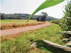  ??  ?? Wegen der Straßenbau­stelle in Ebershause­n wird der Hohlenbach­weg trotz Verbots als Umleitung stark beanspruch­t.