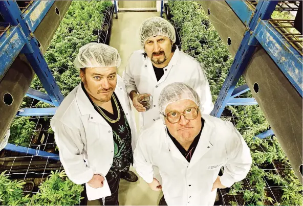  ??  ?? “Trailer Park Buds,” a strain of marijuana from OrganiGram, aims to capitalize on the notoriety and party spirit of the Trailer Park Boys.