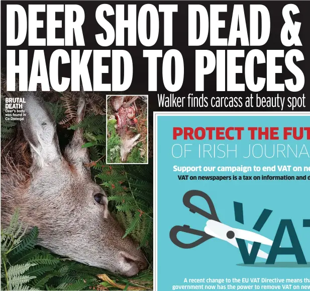  ?? ?? BRUTAL DEATH Deer’s body was found in Co Donegal