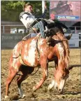  ??  ?? Kash Wilson rides CC Valley during the bareback bronc riding Saturday. More photos on 3B.