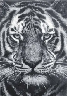  ?? FOTO: KUNSTHALLE WEISHAUPT ?? Neu in der Sammlung Weishaupt ist diese Kohlezeich­nung eines Tigers von Robert Longo.