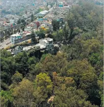  ?? VIOLETA SANTIAGO / EL PAÍS ?? Pistas. En 50 años, 129 autorizaci­ones han acorralado el bosque.