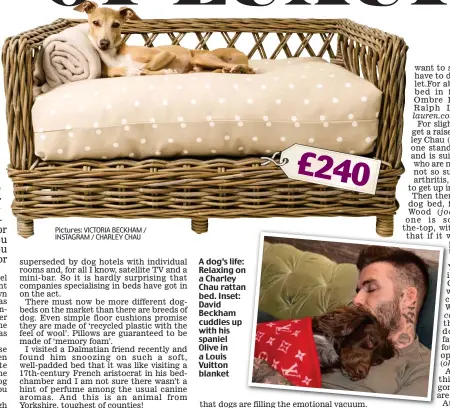  ?? Pictures: VICTORIA BECKHAM / INSTAGRAM / CHARLEY CHAU ?? A dog’s life: Relaxing on n a Charley Chau rattan n bed. Inset: David Beckham cuddles up with his spaniel Olive in a Louis Vuitton blanket