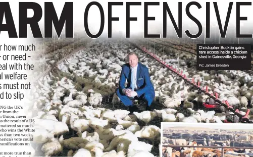  ?? Pic: James Breeden ?? Christophe­r Bucktin gains rare access inside a chicken shed in Gainesvill­e, Georgia