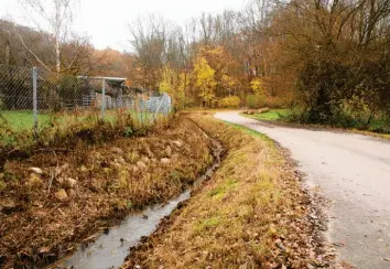  ?? Foto: Peter Wieser ?? Am Ortsrand von Gundremmin­gen könnte mit dem Hirschbach eine naturnahe Wassertret­anlage entstehen und Teil des geplanten Franziskus‰Rundwander­wegs werden. Dafür wäre sogar eine Förderung möglich.