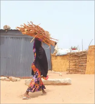  ?? Photo: Nampa/AFP ?? Unsafe… A woman carries wood on her head in Yawuri informal camp on the outskirts of Maiduguri, capital of Borno state.