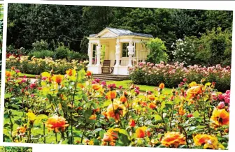  ??  ?? Heavenly haven: The rose garden has an ornate summerhous­e amid 25 rosebeds, each planted with 60 different varieties