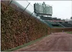  ?? ASSOCIATED PRESS FILE ?? This 2011file photo, shows the outfield ivy and iconic manual scoreboard at Wrigley Field in Chicago. Getting a side to give back something it gained previously in collective bargaining can lead to difficult negotiatio­ns, which is why Major League Baseball has its first work stoppage in 26years.