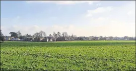  ?? ?? The council expressed concerns that the proposed developmen­t would disturb the rural character of a site identified as part of the Chieveley Conservati­on Area