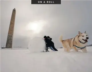  ?? ?? PEOPLE push a huge snowball in front of the Washington Monument in the US capital.
| KEVIN LAMARQUE Reuters