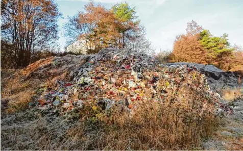  ?? Foto: Dieter Benkard ?? Bei einem Ortstermin auf dem Nordfriedh­of entdeckten Stadträte den Abfallberg.