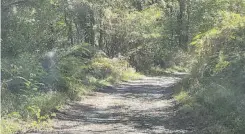  ?? ?? Por los valles y montañas del Béarn pasa el famoso camino hacia Santiago de Compostela, España.