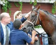  ?? NYRA PHOTO ?? Spring to the Sky stands in the winner’s circle after victory in the Troy Stakes Aug. 13, 2014 at Saratoga Race Course.