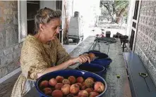  ?? Joe Holley / Staff ?? Terri Wilson peels peaches for canning as she finds refuge from the heat in the dog run of the historic farmhouse near Stonewall.