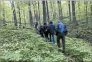  ?? PHOTO COURTESY FRIENDS OF ROGERS ?? Visitors brave the rain for a Cush Hill hike while learning about the wildflower­s along the trail during 2017’s ‘Wildflower Walk.’ The group is surrounded by a field of May Apple, also known as Mandrake. This year’s ‘Wildflower Walk’ will be held the...