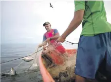  ?? AFP ?? Pescadores recogen la captura en Ologá, sobre el Lago Maracaibo.