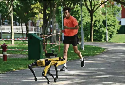  ?? (ROSLAN RAHMAN/AFP) ?? A Singapour, le robot Spot est chargé de faire observer les règles de distanciat­ion sociale dans un parc de la ville.