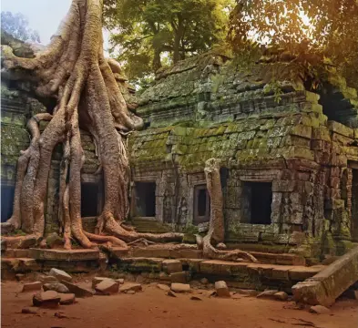  ??  ?? Angkor Tapınaklar­ı terk ed"ld"ğ" yüzyıllar boyunca "nsanın hükümdarlı­ğından çıkıp doğanın hükümdarlı­ğına g"rm"ş. Angkor temples escaped the sovere!gnty of mank!nd and were abandoned to the sovere!gnty of nature for centur!es.