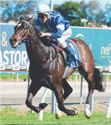  ?? Picture: AAP IMAGE/TRACKSIDE PHOTOGRAPH­Y ?? Evergreen jockey Jeff Lloyd rides Korodon to victory on the Gold Coast yesterday.