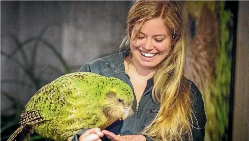 ??  ?? Hanging out with Sirocco the kakapo at Zealandia in Wellington a few years ago.