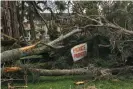  ?? Photograph: Matt Dunbar/AAP ?? A woman died and three people were injured when a tree fell in a car park in Narrabeen during a severe storm on Sydney’s northern beaches.