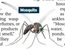  ?? ?? Mosquito