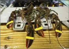  ?? THE ASSOCIATED PRESS ?? A set of retaliator­y tariffs released by China includes a plan to tax American lobster exports, potentiall­y jeopardizi­ng one of the biggest markets for the premium seafood.